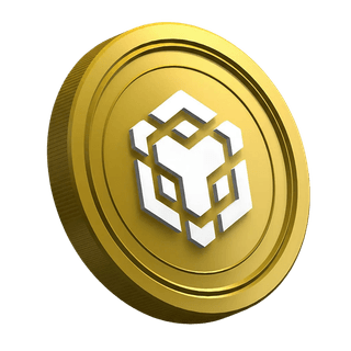 Token de criptomoneda Binance BNB visible en la sección de guía dirigida a operadores principiantes